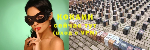 дживик Абинск