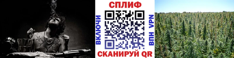 Конопля AK-47  сколько стоит  Ачхой-Мартан 